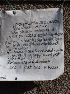 a calm sea - unusual here